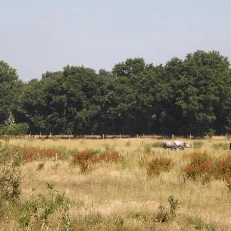 Chalet In Tyrol Near Ski Slope