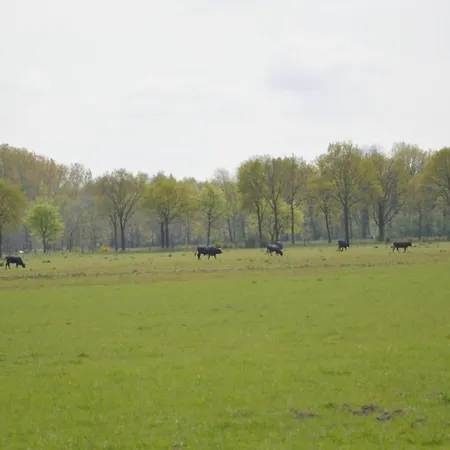 Chalet In Tyrol Near Ski Slope Stramproy