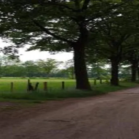 Woodland Comfort With A Cozy Touches Ferienhaus