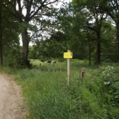 Woodland Comfort With A Cozy Touches Ferienhaus *