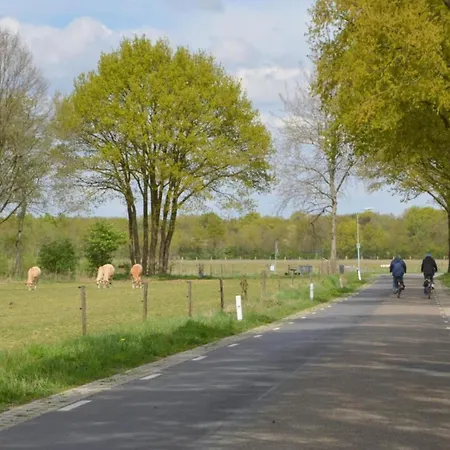 Ferienhaus Woodland Comfort With A Cozy Touches *