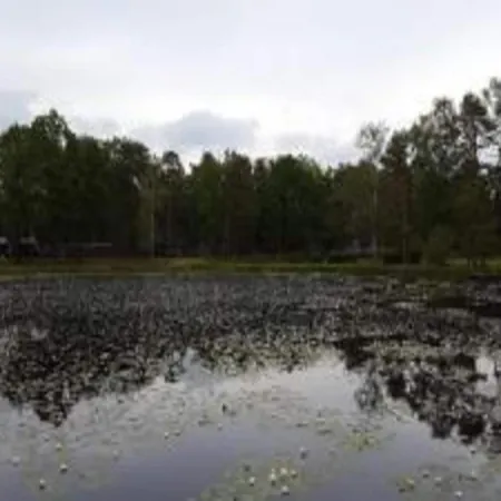 Chalet In Tyrol Near Ski Slope Semesterbostad *