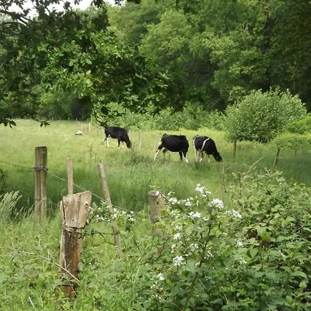Chalet In Tyrol Near Ski Slope