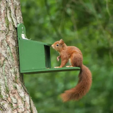 Semesterbostad Chalet In Tyrol Near Ski Slope