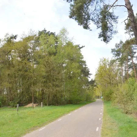 Woodland Comfort With A Cozy Touches *