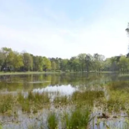Chalet In Tyrol Near Ski Slope Stramproy