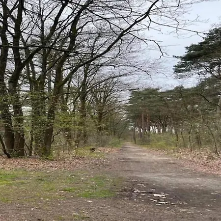 Semesterbostad Chalet In Tyrol Near Ski Slope Stramproy